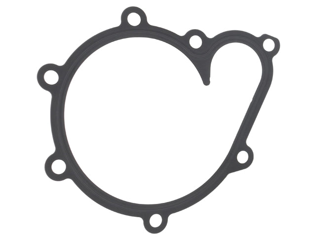 Water Pump Gasket
