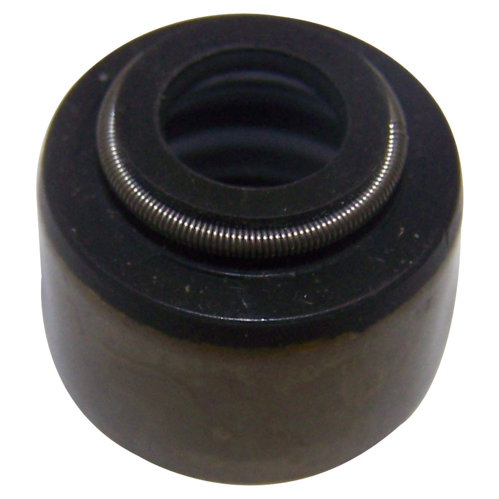 53009886.jpg