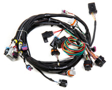 Load image into Gallery viewer, 558-102.jpg