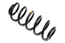 Load image into Gallery viewer, Coil Spring