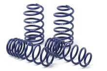 Load image into Gallery viewer, H&amp;R 14-19 Ford Escape (2WD/4WD) 4 Cyl/V6 Adventure Raising Spring