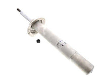 Load image into Gallery viewer, Strut