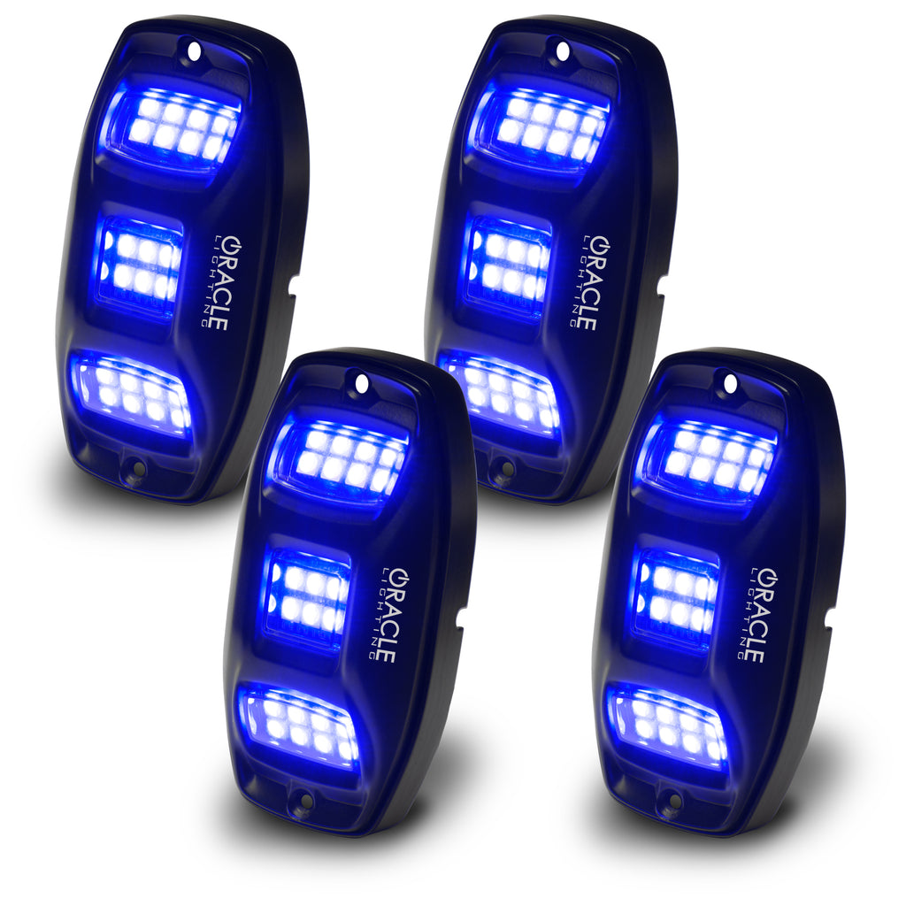 5895-339_7.jpg