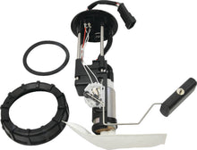 Load image into Gallery viewer, Photo - Primary