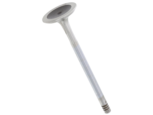Exhaust Valve