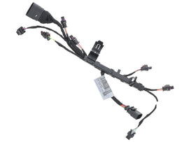 Harness