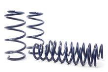 Load image into Gallery viewer, H&amp;R 14-19 Ford Escape (2WD/4WD) 4 Cyl/V6 Adventure Raising Spring
