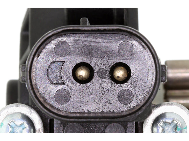 Window Motor