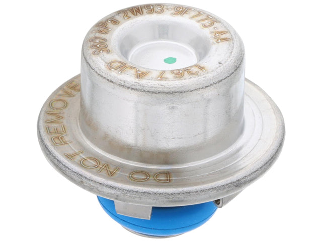 Fuel Rail Damper
