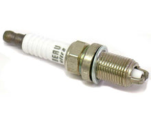 Load image into Gallery viewer, Spark Plug