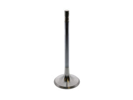 Intake Valve