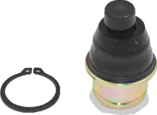 Load image into Gallery viewer, Photo - Primary