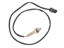 Load image into Gallery viewer, Oxygen Sensor