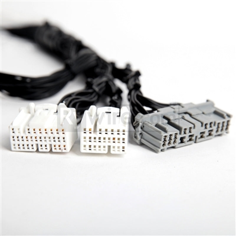 Rywire Honda K-Series Tucked Budget Engine Harness w/OBD2 02-04 RSX K20 Sensor/Firewall VSS RYWRY-K2-BASE