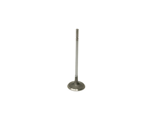 Intake Valve
