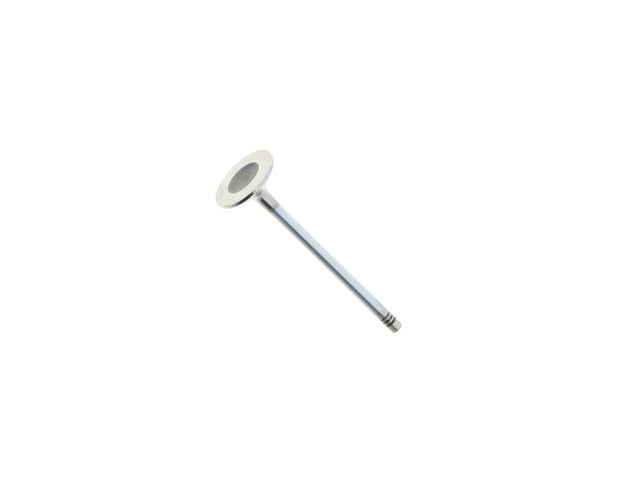 Intake Valve