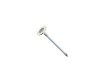 Load image into Gallery viewer, Intake Valve