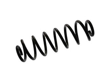 Load image into Gallery viewer, Coil Spring