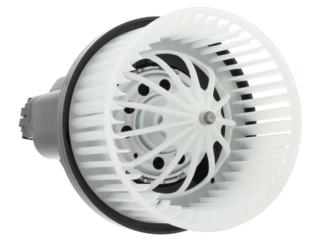Blower Motor Assembly