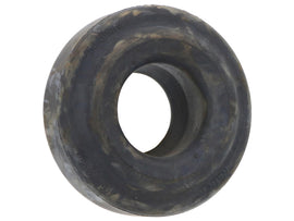 Trailing Arm Bushing