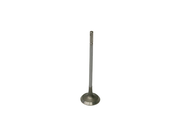Exhaust Valve