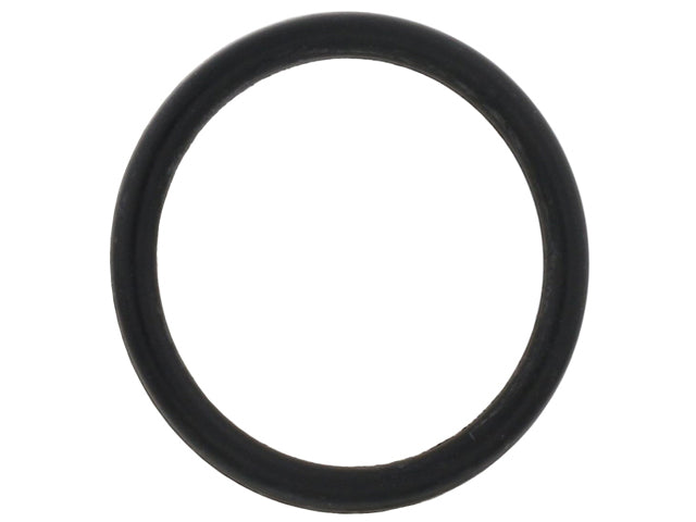 Coolant Pipe O-Ring