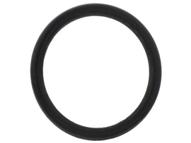 Coolant Pipe O-Ring