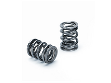 Load image into Gallery viewer, Supertech Honda K20/K24 Dual Valve Spring - Set of 16 SPTSPR-H100DR-16