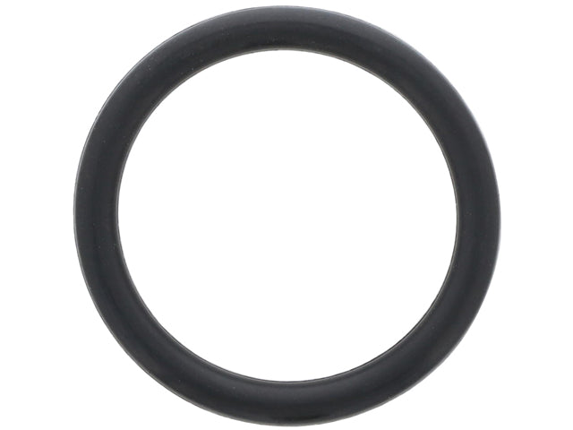 Coolant Pipe O-Ring