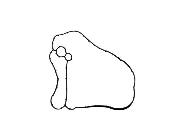 Gasket