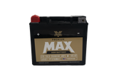 Twin Power GYZ-20H Premium MAX Battery Replaces H-D 65991-82B Made in USA 320 CCA