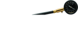 BikeMaster Dual Tire Gauge 100 PSI