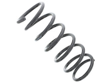 Load image into Gallery viewer, Coil Spring
