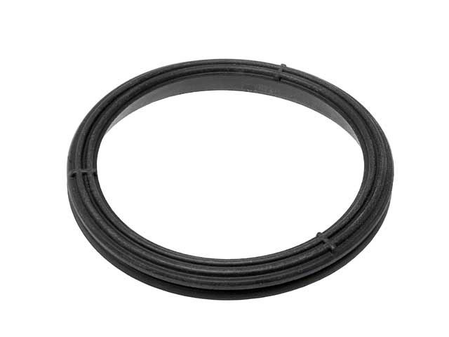 Timing Chain Cover Gasket