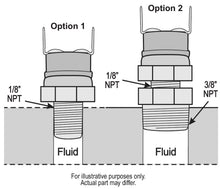 Load image into Gallery viewer, 16731-Illustration.jpg