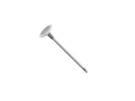 Intake Valve