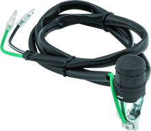 Load image into Gallery viewer, Photo - Primary