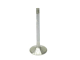 Exhaust Valve  -  Intervalves 993-105-419-01