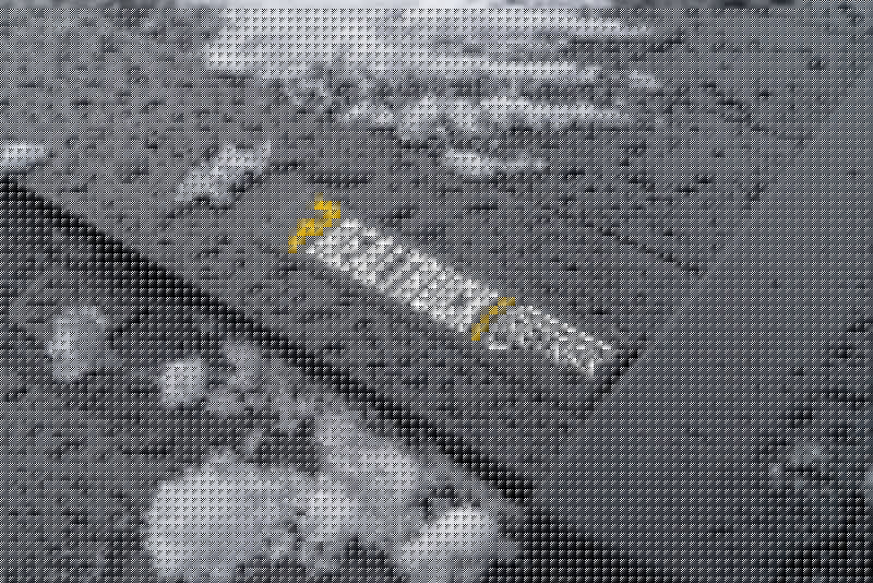 Retrax 2021 F-150 Super Crew / Super Cab & Reg. Cab 6.5ft Bed RetraxPRO XR RTXT-80379