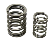 Load image into Gallery viewer, Valve Spring Set