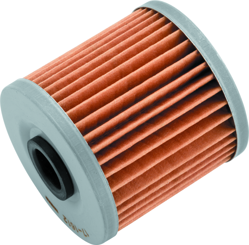 BikeMaster Kawasaki BM-123 Oil Filter - Black BKM171612