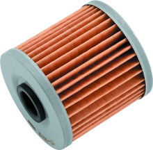 Load image into Gallery viewer, BikeMaster Kawasaki BM-123 Oil Filter - Black BKM171612