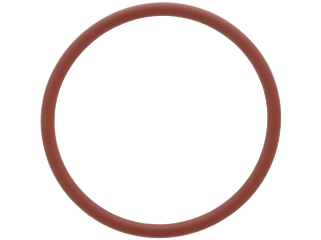 Fuel Pump Seal