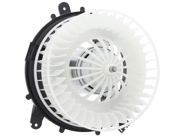 Blower Motor Assembly