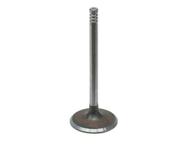 Intake Valve - Intervalves 1181.002 KQLX_1181.002