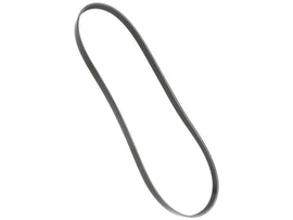 Belt 6K X 1230