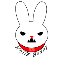 Load image into Gallery viewer, Competition Clutch 03-07 Infiniti G35 / 03-06 Nissan 350Z VQ35DE - White Bunny Stock Upgrade Kit COMP6072-2-STK