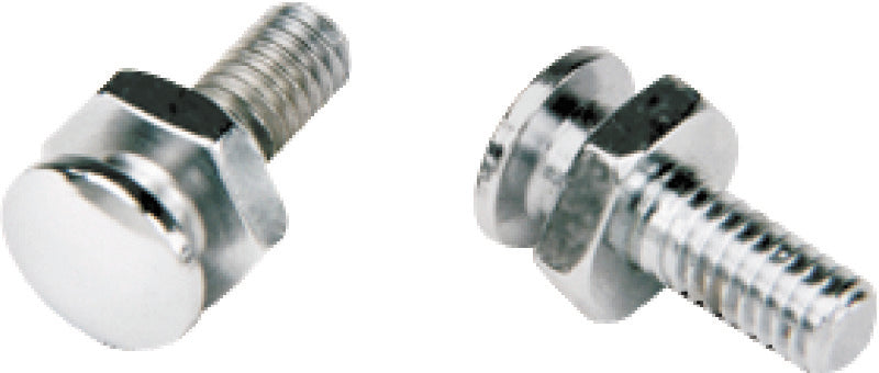 Mustang Solo Mounting Bolts, 5/16-18 Thread (Pair)