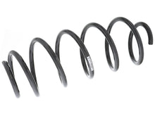 Load image into Gallery viewer, Coil Spring