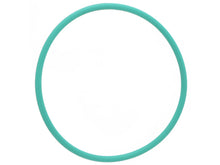 Load image into Gallery viewer, Fuel Pump Assembly O-Ring